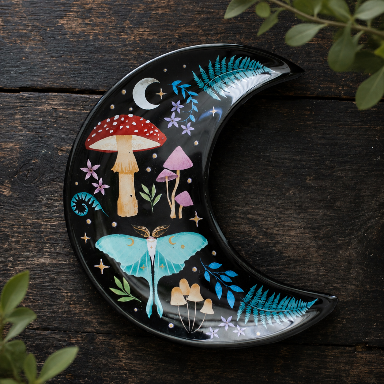 Enchanted Forest Collection