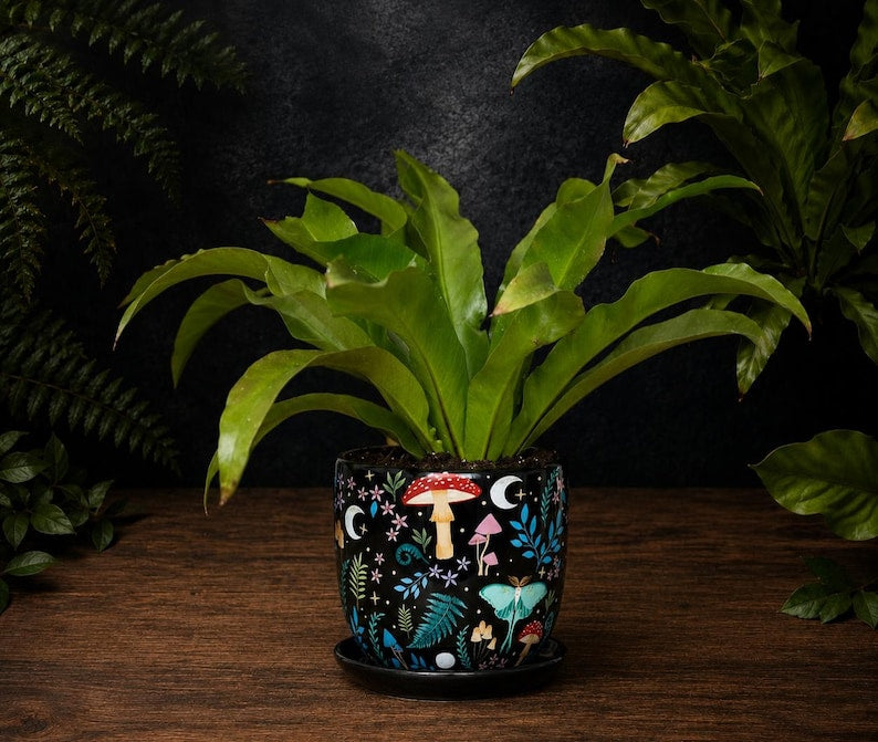 Dark Forest Plant Pot & Saucer